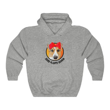 Load image into Gallery viewer, &quot;Zero Fluffs Given&quot; Hoodie (Unisex)
